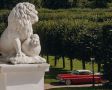 Более 11 тысяч человек посетили фестиваль «Автовыходные» в музее-заповеднике «Архангельское»