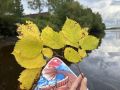 Доброе утро, регион!. Пятница — последний рабочий день недели