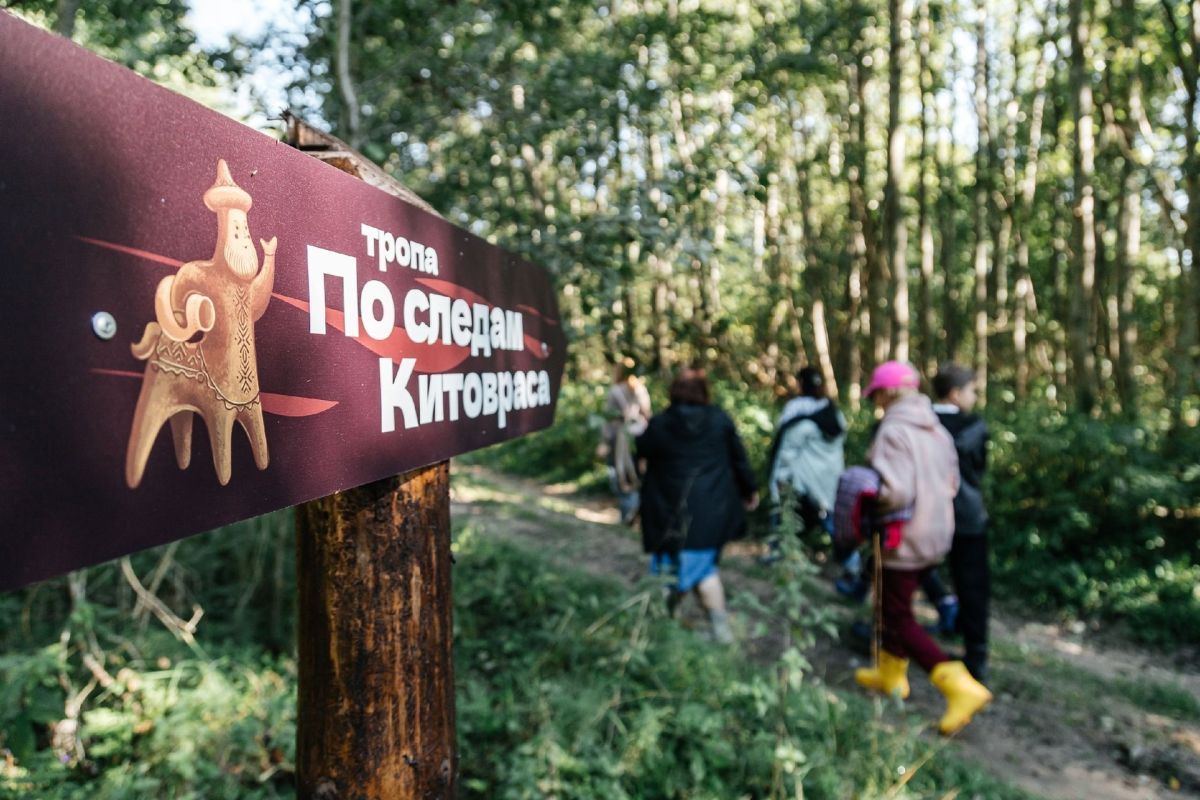 Кенозерье открылась экотропа с двухметровыми деревянными великанами Кенозерье открылась экотропа с двухметровыми деревянными великанами