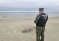 Проводится проверка по факту гибели жителя города Архангельска в результате опрокидывания лодки