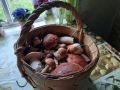 Доброе утро, регион!. Вторник — день, когда уже разогнались, но ещё не устали