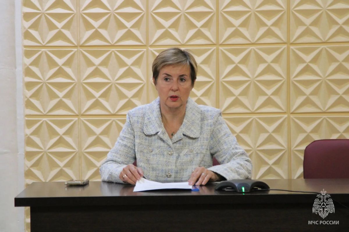 Занятие с представителем избиркома прошло для сотрудников чрезвычайного ведомства Занятие с представителем избиркома прошло для сотрудников чрезвычайного ведомства