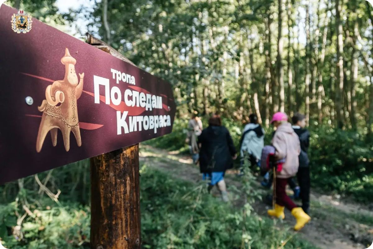 Новая экотропа «По следам Китовраса» в Кенозерье официально открыта! Новая экотропа «По следам Китовраса» в Кенозерье официально открыта!