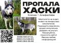 Друзья, особенно Холмогорский округ
