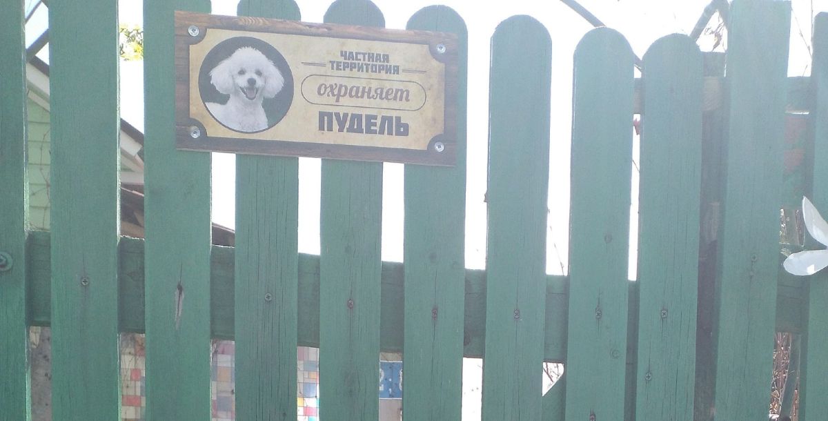 Помните, утром мы публиковали самое милую вывеску из СНТ «Маяк»? Помните, утром мы публиковали самое милую вывеску из СНТ «Маяк»?
