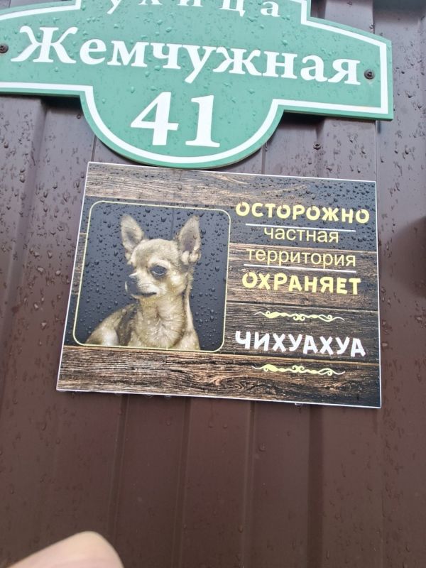 Помните, утром мы публиковали самое милую вывеску из СНТ «Маяк»? Помните, утром мы публиковали самое милую вывеску из СНТ «Маяк»?