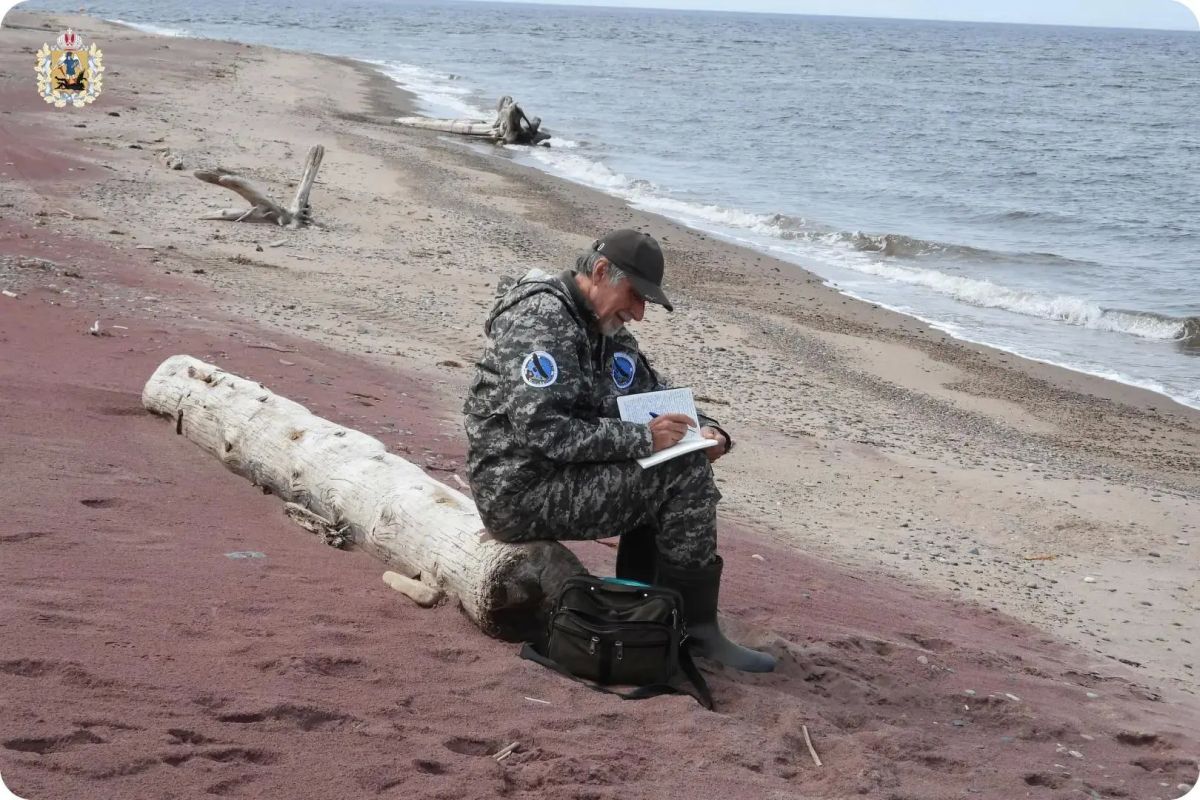 Орнитологи подвели итоги масштабного обследования птиц Архангельской области Орнитологи подвели итоги масштабного обследования птиц Архангельской области