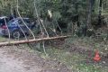 Вельскими полицейскими устанавливаются обстоятельства ДТП, в котором погиб человек