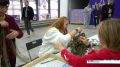 В Архангельской области производство армейского сухого душа поставили на поток