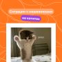 Три цифры? А вот и нет. В каких ситуациях пора насторожиться? Собрали несколько примеров в карточках