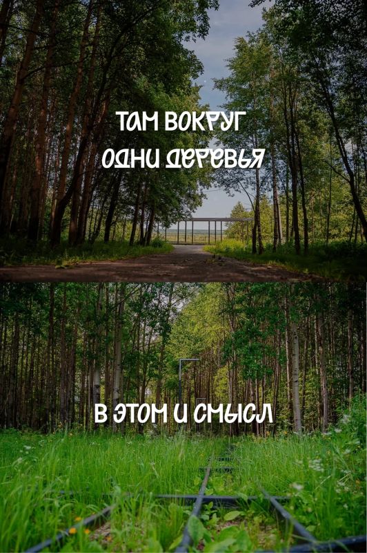 Здесь, под покровом небес, мы родились Здесь, под покровом небес, мы родились