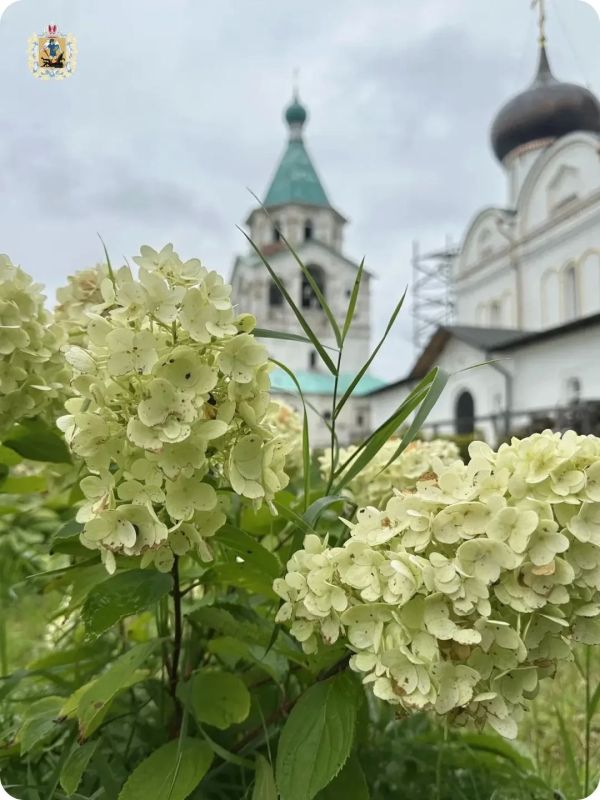 Если хочется выдохнуть, замедлиться и просто послушать тишину — вам в Сию Если хочется выдохнуть, замедлиться и просто послушать тишину — вам в Сию