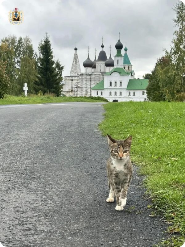 Если хочется выдохнуть, замедлиться и просто послушать тишину — вам в Сию Если хочется выдохнуть, замедлиться и просто послушать тишину — вам в Сию