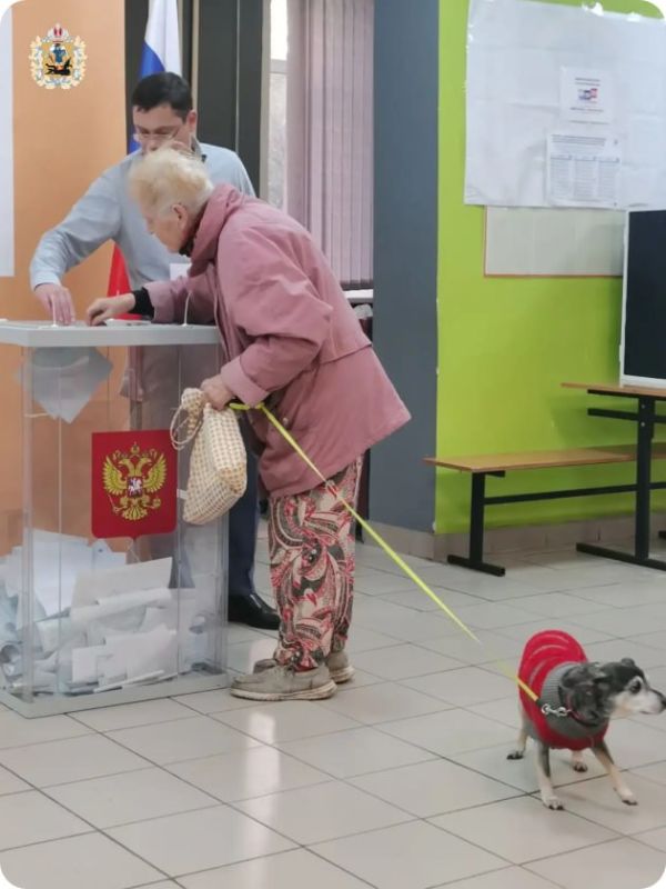 Голосование – это не повод пропустить прогулку, а еще один весомый повод для нее! Голосование – это не повод пропустить прогулку, а еще один весомый повод для нее!