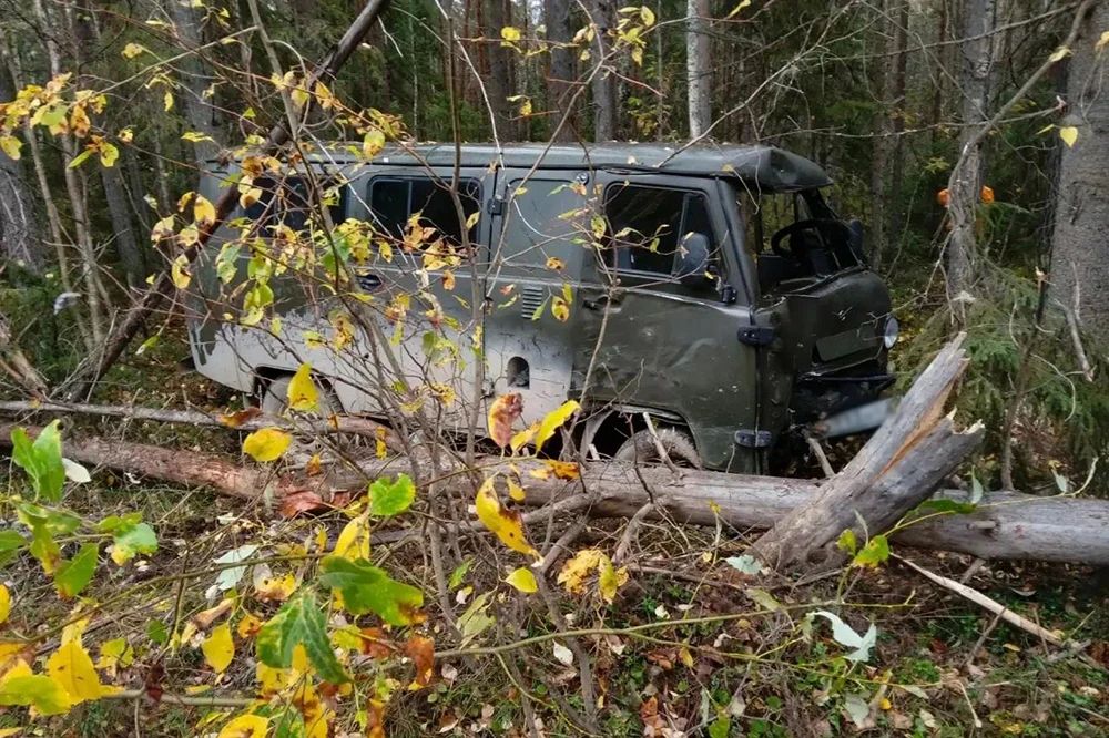 В Пинежском округе по вине пьяного водителя произошло ДТП В Пинежском округе по вине пьяного водителя произошло ДТП