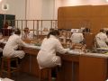 В образовательных организациях Поморья пройдет Всероссийская олимпиада школьников