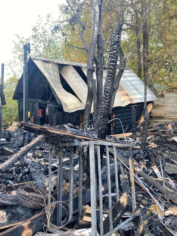 В результате ночного пожара в СНТ под Коряжмой сгорели три строения В результате ночного пожара в СНТ под Коряжмой сгорели три строения