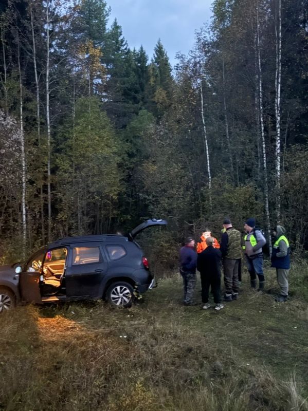 Два леса — два спасения: как искали потерявшихся в Архангельской области Два леса — два спасения: как искали потерявшихся в Архангельской области