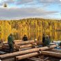 В Кенозерье завершилась самая масштабная смена плотницкой школы «Пора Топора»