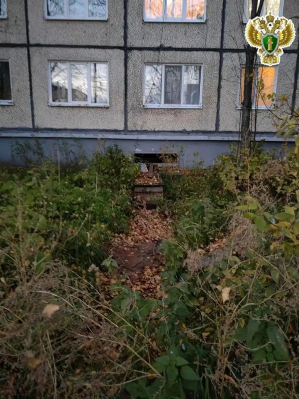Ребенок упал в яму с кипятком Ребенок упал в яму с кипятком