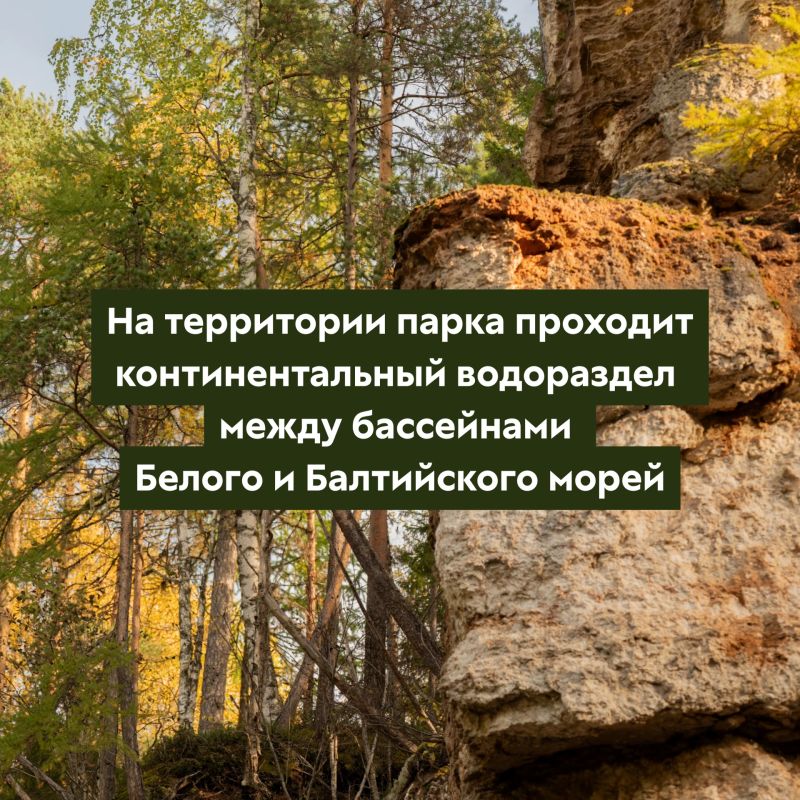 Знаешь, нам кажется, что фотография — это одно из самых сильных признаний в любви Знаешь, нам кажется, что фотография — это одно из самых сильных признаний в любви