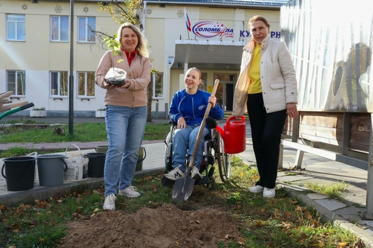 Когда стихи становятся деревьями Когда стихи становятся деревьями