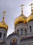 Архангельск в жёлтом: осенняя подборка