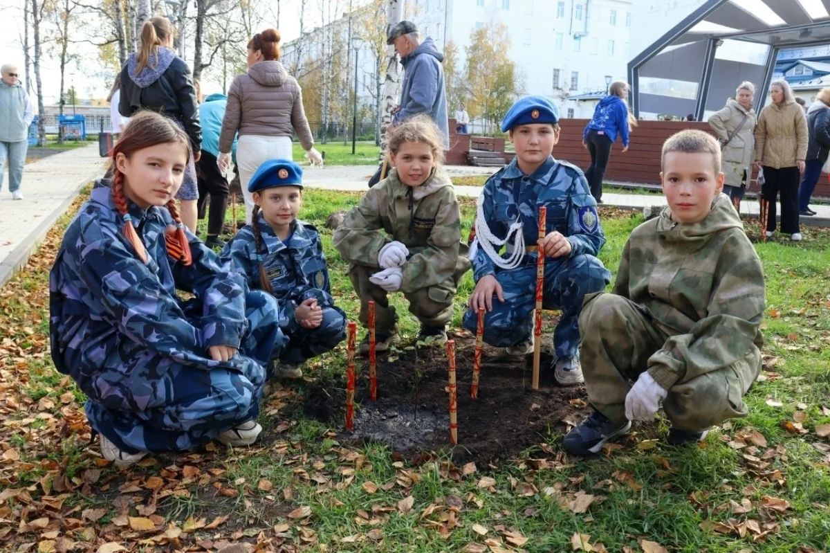 Когда стихи становятся деревьями Когда стихи становятся деревьями