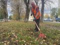 На центральной набережной – осенний марафон чистоты