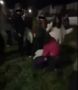 Тревожные кадры едва ли не каждый день появляются в социальных сетях из парка «Зарусье»