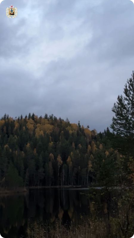 Золото на деревьях, прохладный воздух и запах дождя Золото на деревьях, прохладный воздух и запах дождя