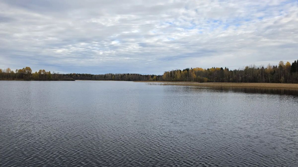 Осень в Беломорье. Наша область прекрасна! Осень в Беломорье. Наша область прекрасна!