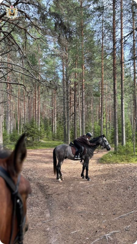 Золото на деревьях, прохладный воздух и запах дождя Золото на деревьях, прохладный воздух и запах дождя