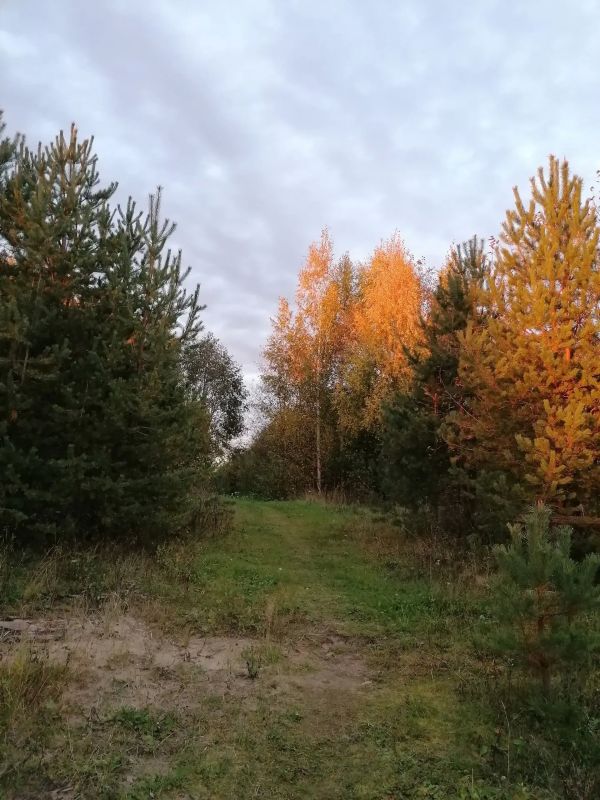 Осень глазами наших подписчиков Осень глазами наших подписчиков