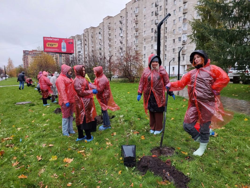 Сегодня на улице Воскресенской стало на 25 яблонь больше Сегодня на улице Воскресенской стало на 25 яблонь больше