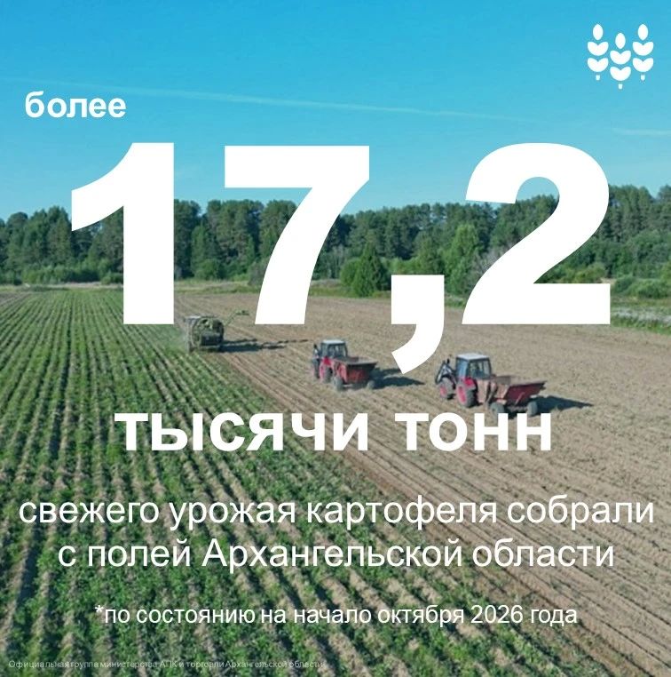 Аграрии Архангельской области убрали с полей более 17,2 тысячи тонн картофеля