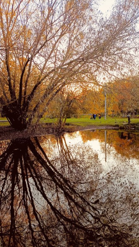 Осень — одно из красивейших времён года Осень — одно из красивейших времён года