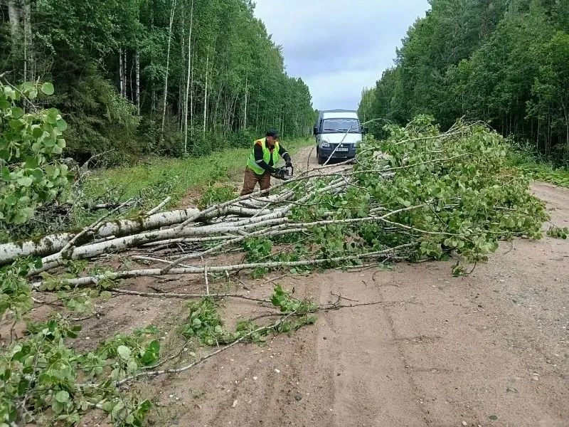Определены подрядчики работ по содержанию региональных дорог в 2026–2028 годах