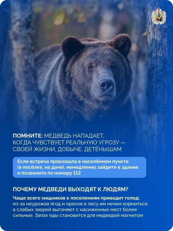 Безопасность в дикой природе начинается с подготовки Безопасность в дикой природе начинается с подготовки