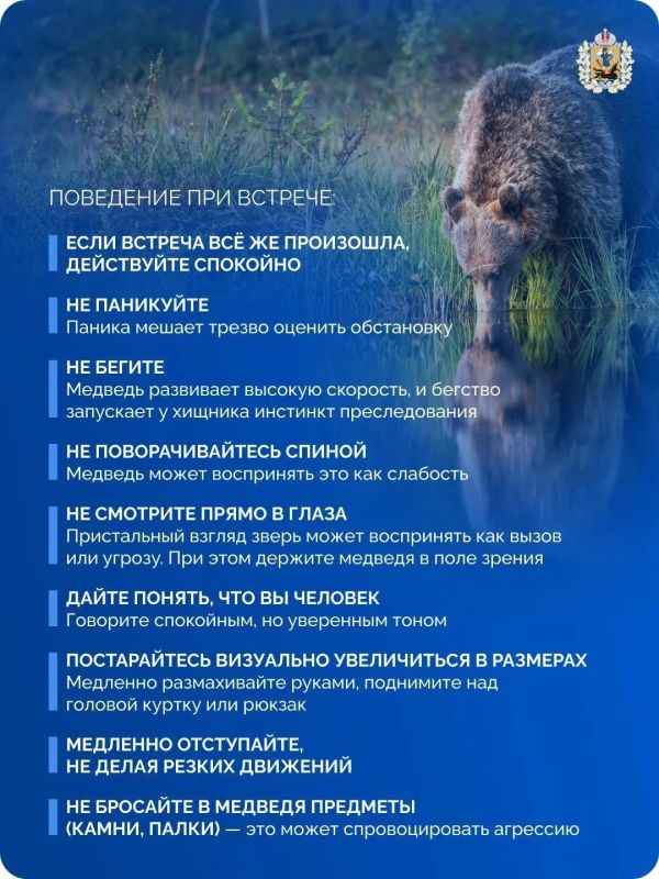 Безопасность в дикой природе начинается с подготовки Безопасность в дикой природе начинается с подготовки