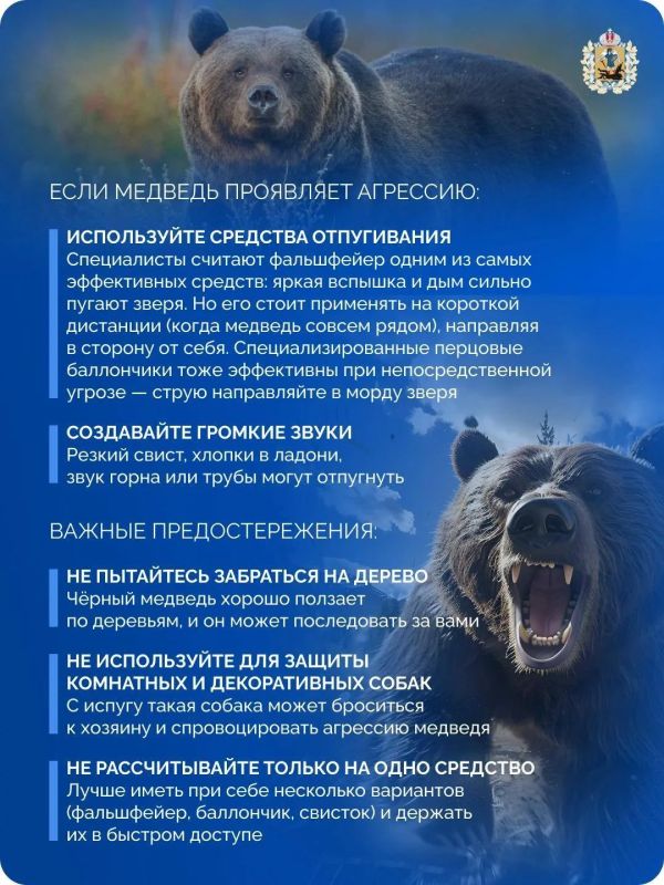 Безопасность в дикой природе начинается с подготовки Безопасность в дикой природе начинается с подготовки
