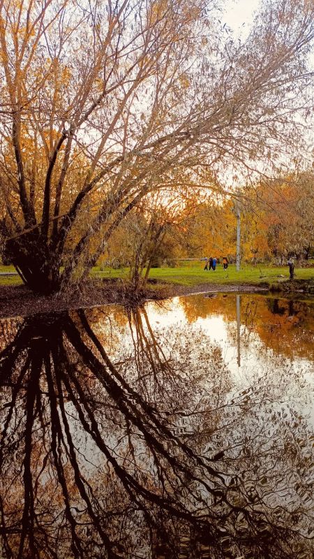 Смотрите, какая красота!. Осень в этом году особенно щедрая на краски: золото, багрянец, мягкий свет и туманы Смотрите, какая красота!. Осень в этом году особенно щедрая на краски: золото, багрянец, мягкий свет и туманы