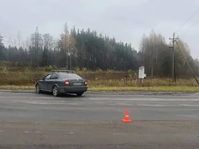 В Вельске Skoda сбила велосипедистку