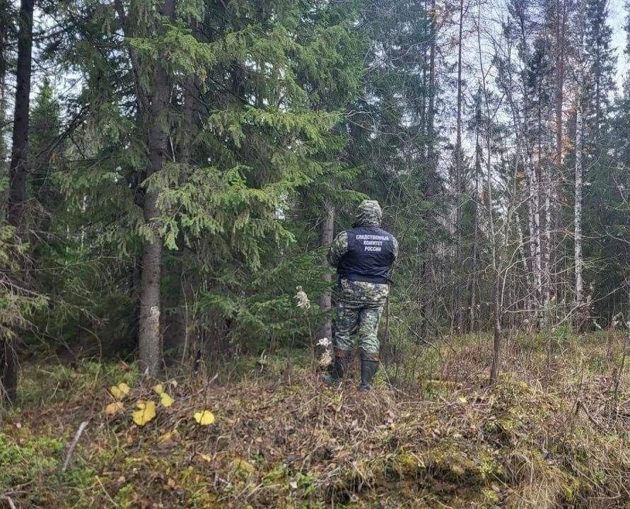 Медведь убил мужчину в лесу в Архангельской области — первое нападение этого хищника на человека в регионе с 1978 года Медведь убил мужчину в лесу в Архангельской области — первое нападение этого хищника на человека в регионе с 1978 года