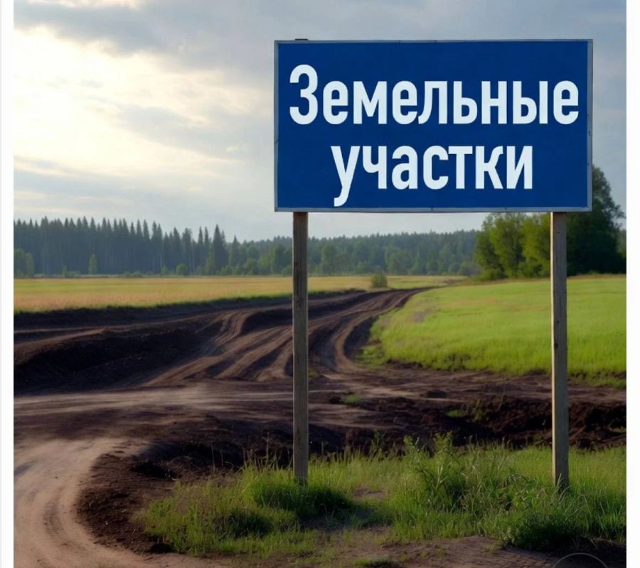 Прокуратура Каргопольского района потребовала через суд обеспечения транспортной инфраструктурой земельных участков, выделенных многодетным семьям в 2019 году