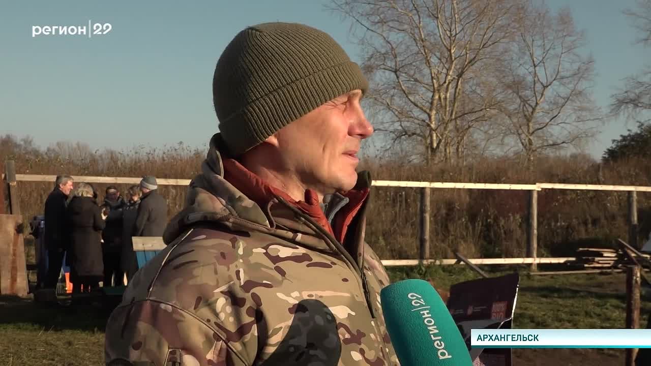 В Архангельске на территории центра «Архангел» расширяется хаски-парк «Северный ветер» — здесь живут 34 собаки, среди которых и закалённые полярники, и спасённые волонтёрами псы