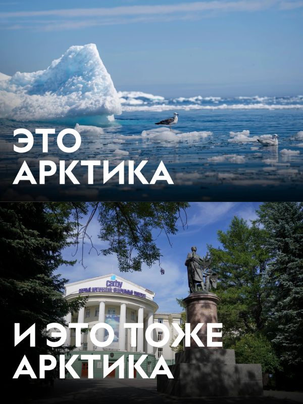 Думаешь, Арктика — это только льды и белые медведи? Думаешь, Арктика — это только льды и белые медведи?