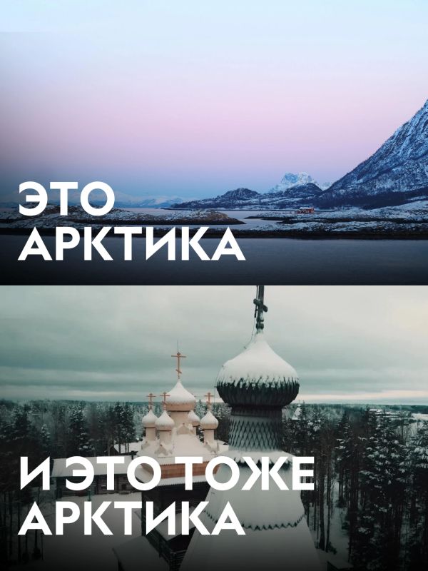 Думаешь, Арктика — это только льды и белые медведи? Думаешь, Арктика — это только льды и белые медведи?