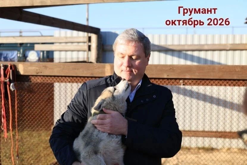 Созданный на базе центра «Архангел» клуб ездового спорта успешно развивается Созданный на базе центра «Архангел» клуб ездового спорта успешно развивается
