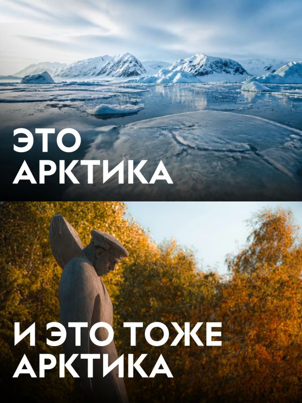 Думаешь, Арктика — это только льды и белые медведи? Думаешь, Арктика — это только льды и белые медведи?